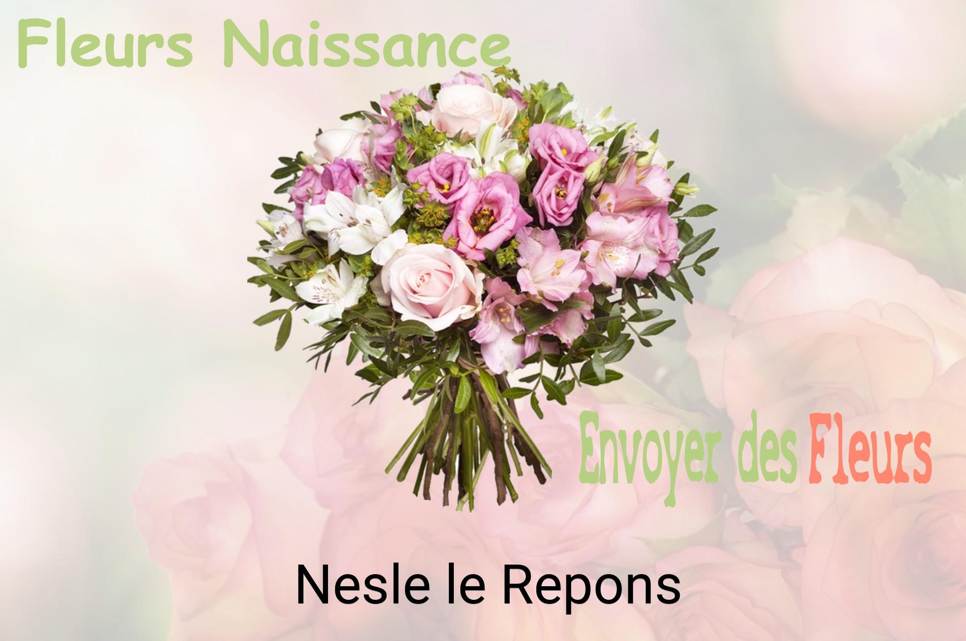 Bouquet de fleurs de naissance livré à Nesle-le-Repons