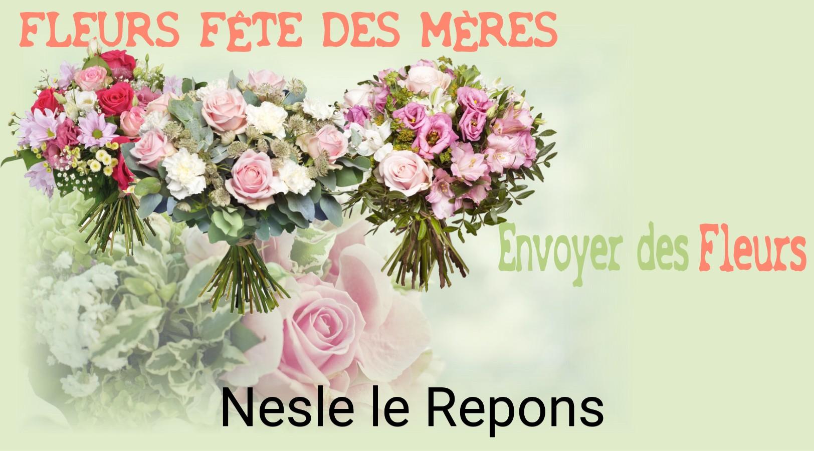 Bouquet de Fête des Mères livré à Nesle-le-Repons